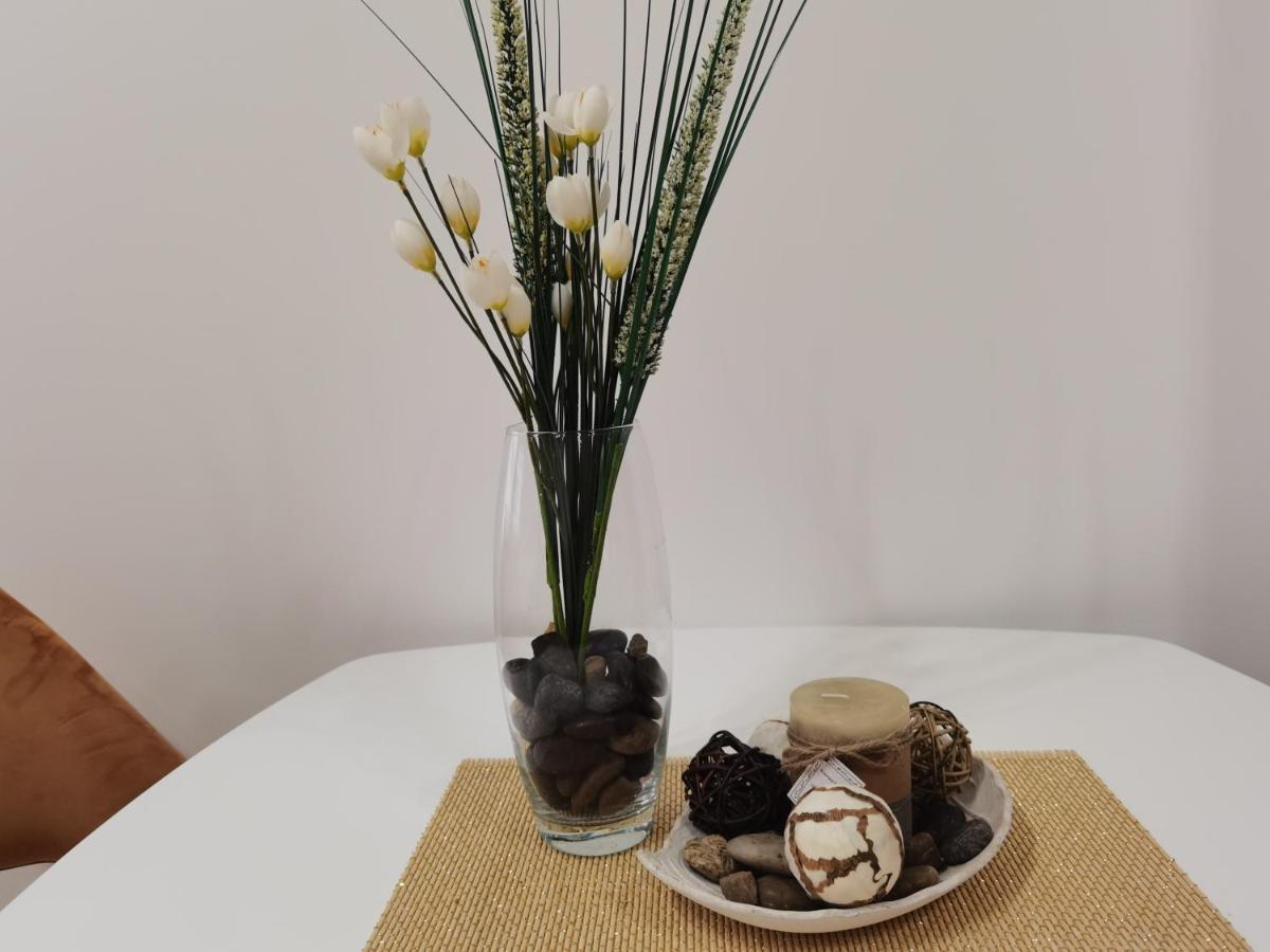 Igman Apartments ติวัต ภายนอก รูปภาพ